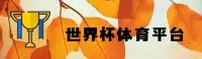 世界杯APP官方网站