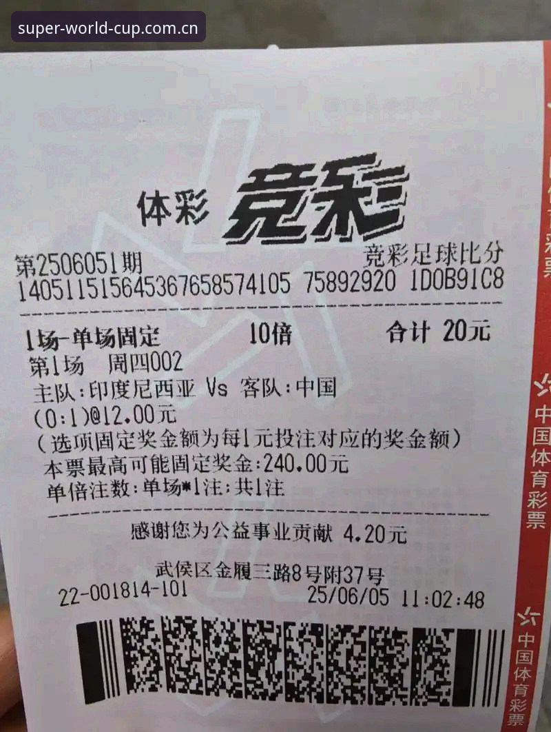 世界杯体育平台触屏体验下载故障详解